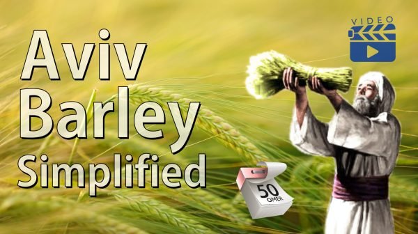 Aviv Barley, anti-messiah, Rosh HaShanah, Yeshua our firstfruits, Karaite doctrine, leaven of the sadducees,