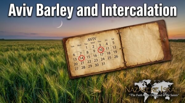 aviv_barley_and_intercalation--cover