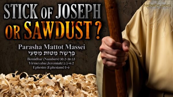 Parasha Mattot Massei 5785 (2024), stick of Joseph, stick of Ephraim, Genesis 35 Alliance