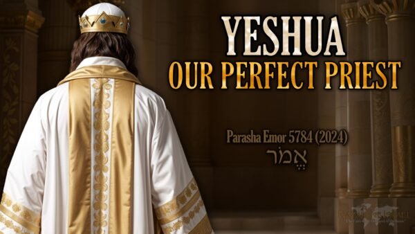 Parasha Emor 5784 (2024), Levitical Priesthood, Yeshua HaMashiach, Ezekiel 44-45, fourth temple, Noahidsim, Noahide Laws, Talmudic Replacement Theology, Leviticus 24:22, Yeshua our High Priest, Melchizedekian order, Tabernacle of David, one Torah, orthodox Judah, Genesis 35 Allience, Abrahamic accords