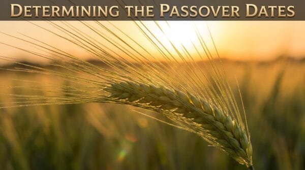 Campo de cebada aviv en una puesta de sol - Book Nazarene Israel Passover Study - Nazarene Israel