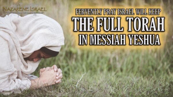 full torah in Messiah Yeshua 2026