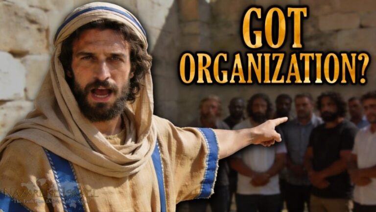 Got Organization