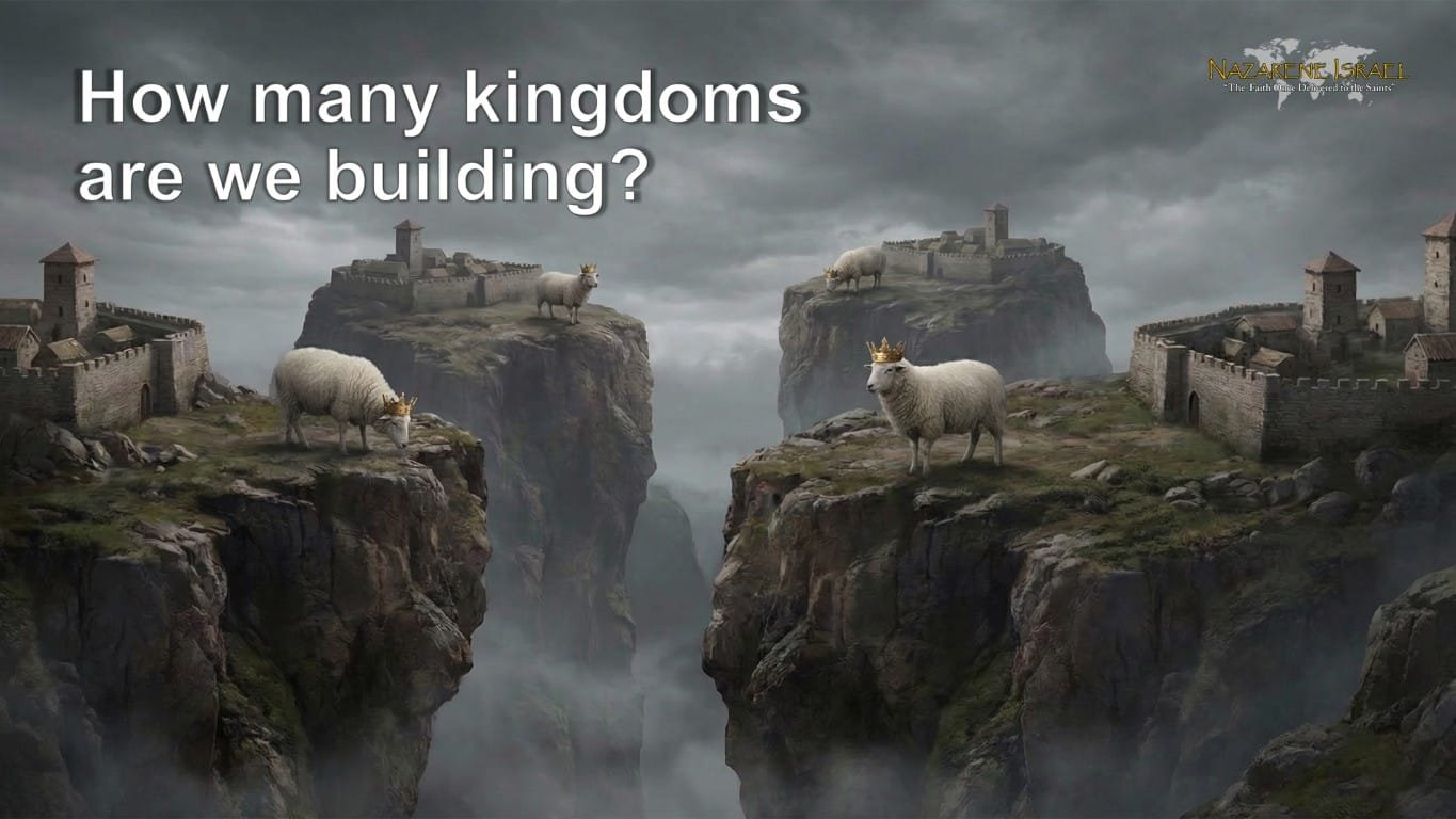 how many kingdoms are we building