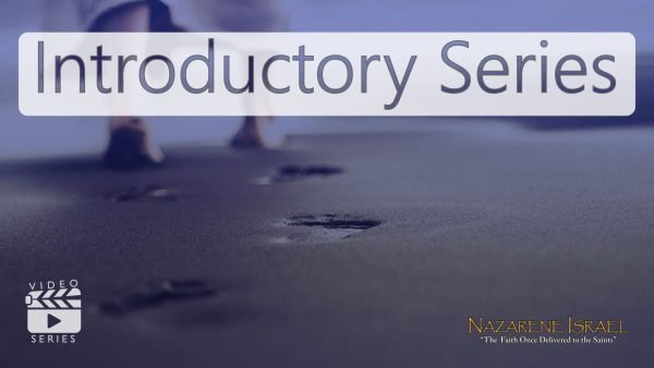 introductory-video-series-cover