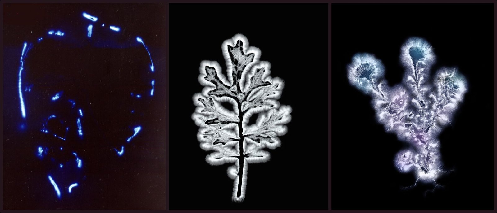 Kirlian bioenergetic images, wikimedia commons, spiritual health, Parasha Tazria-Metzorah, Yahweh who heals you.