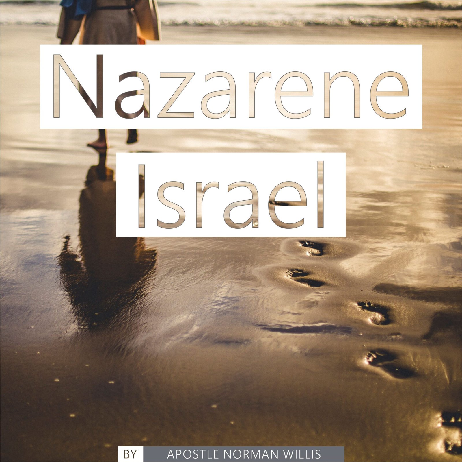 Nazarene Israel Original Faith book cover