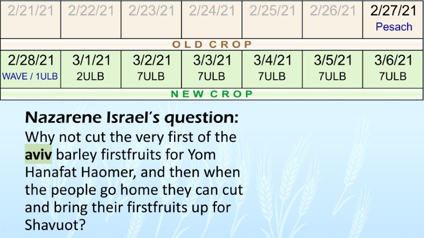 nazarene israel question old crop new crop