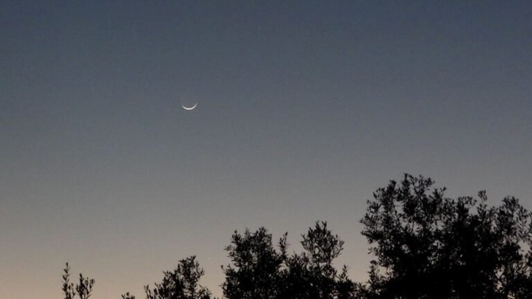 1 March 5785 / 2025, new moon, feasts of the first month, biblical feasts, 13th Hebrew month