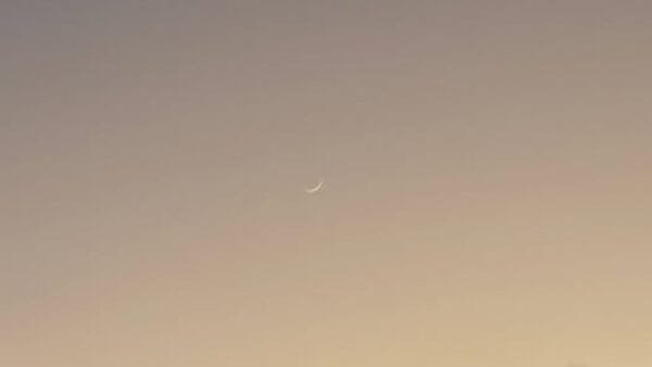new moon report 16 June 2026