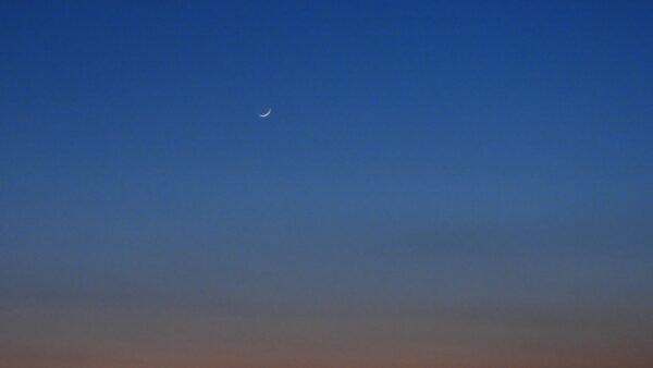 New Moon 11th Hebrew month, Rosh Chodesh, 20 January 5786/2026