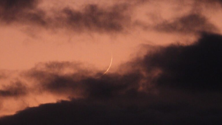 12th Hebrew Month Begins: 12 January 2024