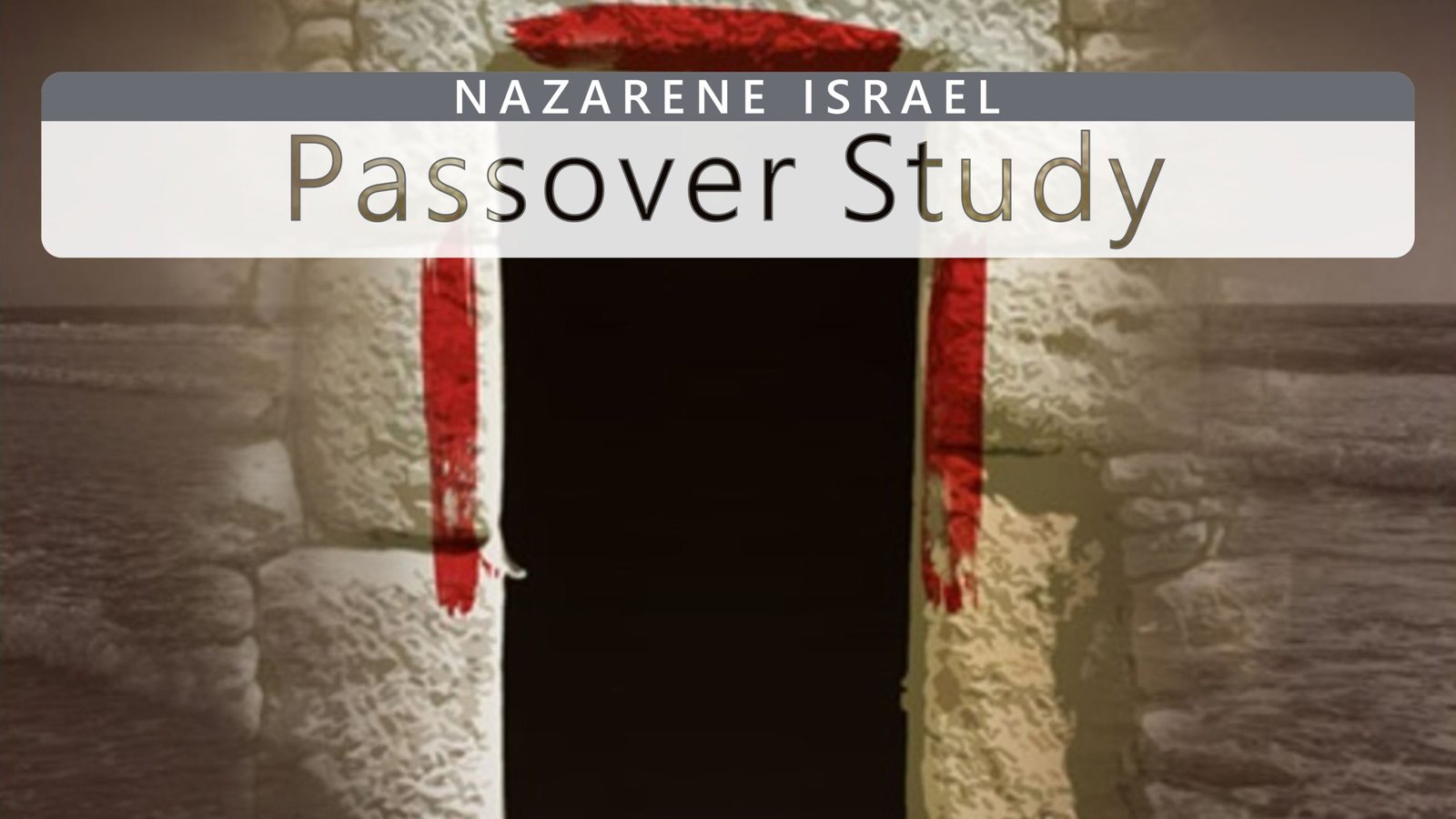 ni-passover-study-cover-en