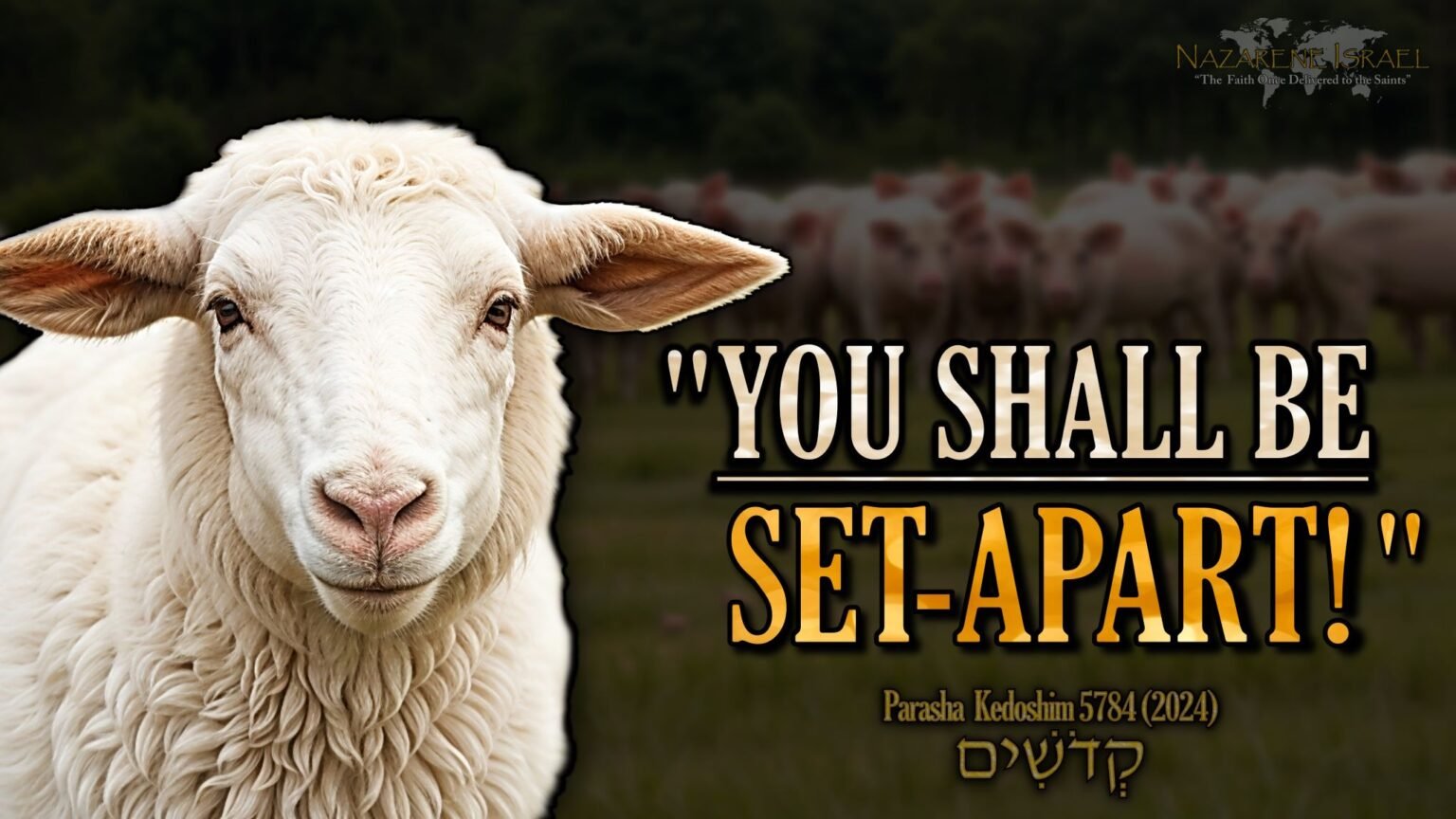 Parasha Kedoshim 5784, Set-apart, commandments