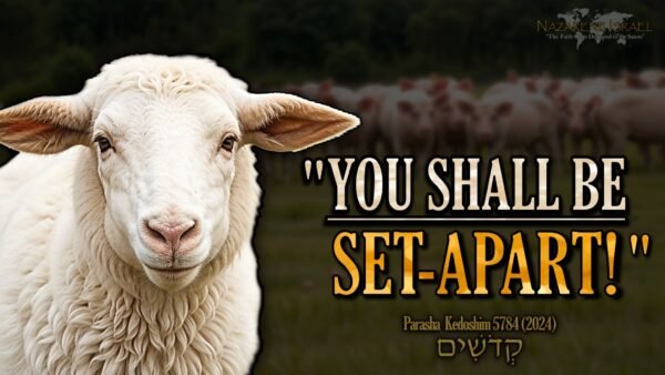 Parasha Kedoshim 5784, Set-apart, commandments