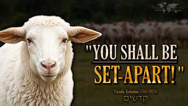 Parasha Kedoshim 5784, Set-apart, commandments
