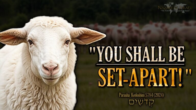 Parasha Kedoshim 5784, Set-apart, commandments