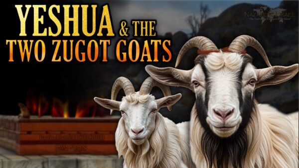 Parasha Acharei Mot 5784, Yom Kippur, Day of Atonement, atonement, two zugot goats, scapegoat, sacrifice
