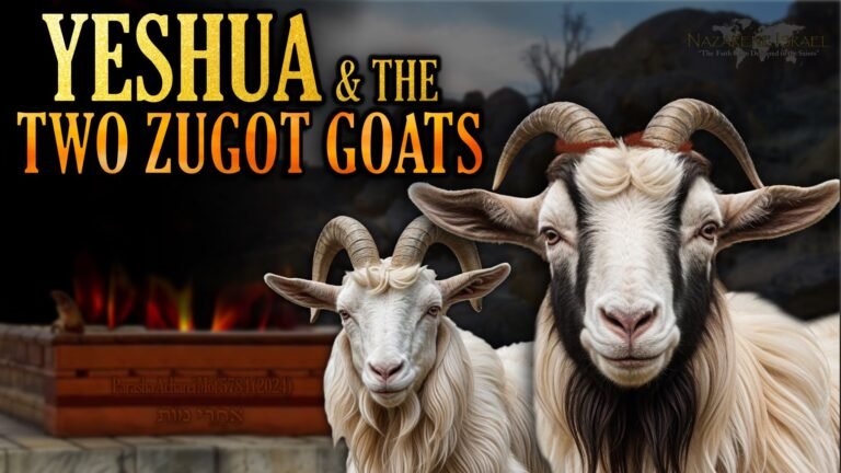 Parasha Acharei Mot 5784, Yom Kippur, Day of Atonement, atonement, two zugot goats, scapegoat, sacrifice