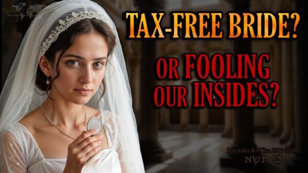 Parasha Ki Tisa 5784, Abraham Accords, Birkhat HaMinim, Genesis 35 Alliance, Temple tax, Proverbs 31 bride, Marital Covenant, written Torah, Anointing oil