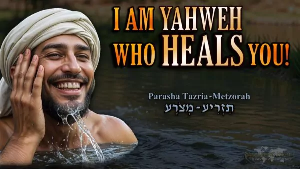 Parasha Tazria Metzorah 5784, biblical healing, health, plagues of Egypt, impurities, ritual cleanness, sin, Torah commandments