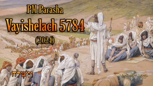 PM Parasha Vayishelach 5784 (2024), The Two Houses, house of Judah, house of Joseph, house of Israel, Joseph versus Esav, Birkhat HaMinim, Orthodox Jewish death curse, reunification of Judah and Joseph