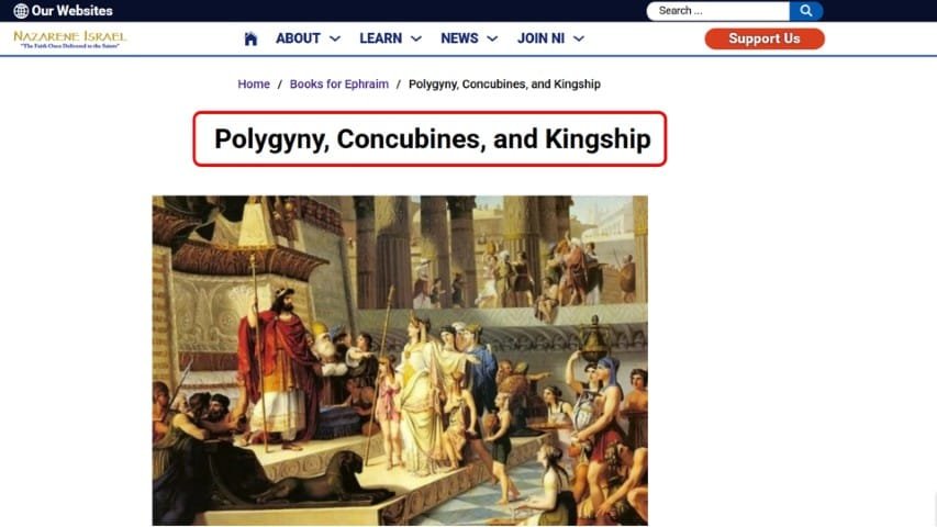 polygyny-concubines-kingship