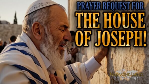 Prayer Request for the House of Joseph