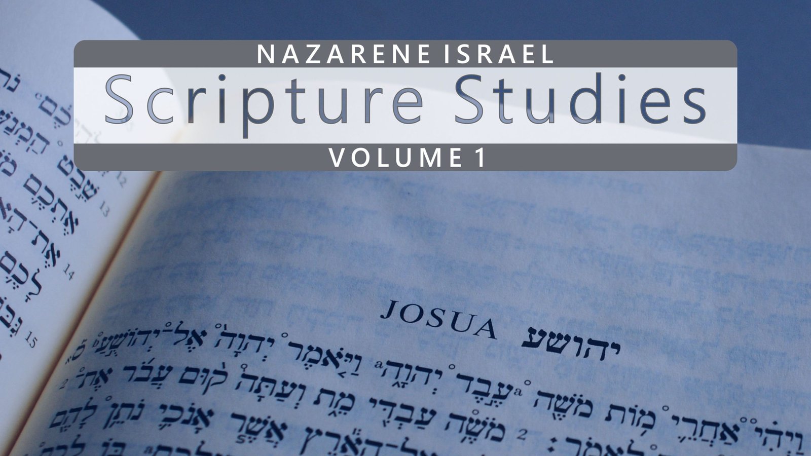 scriptural-studies-volume-1-cover-en