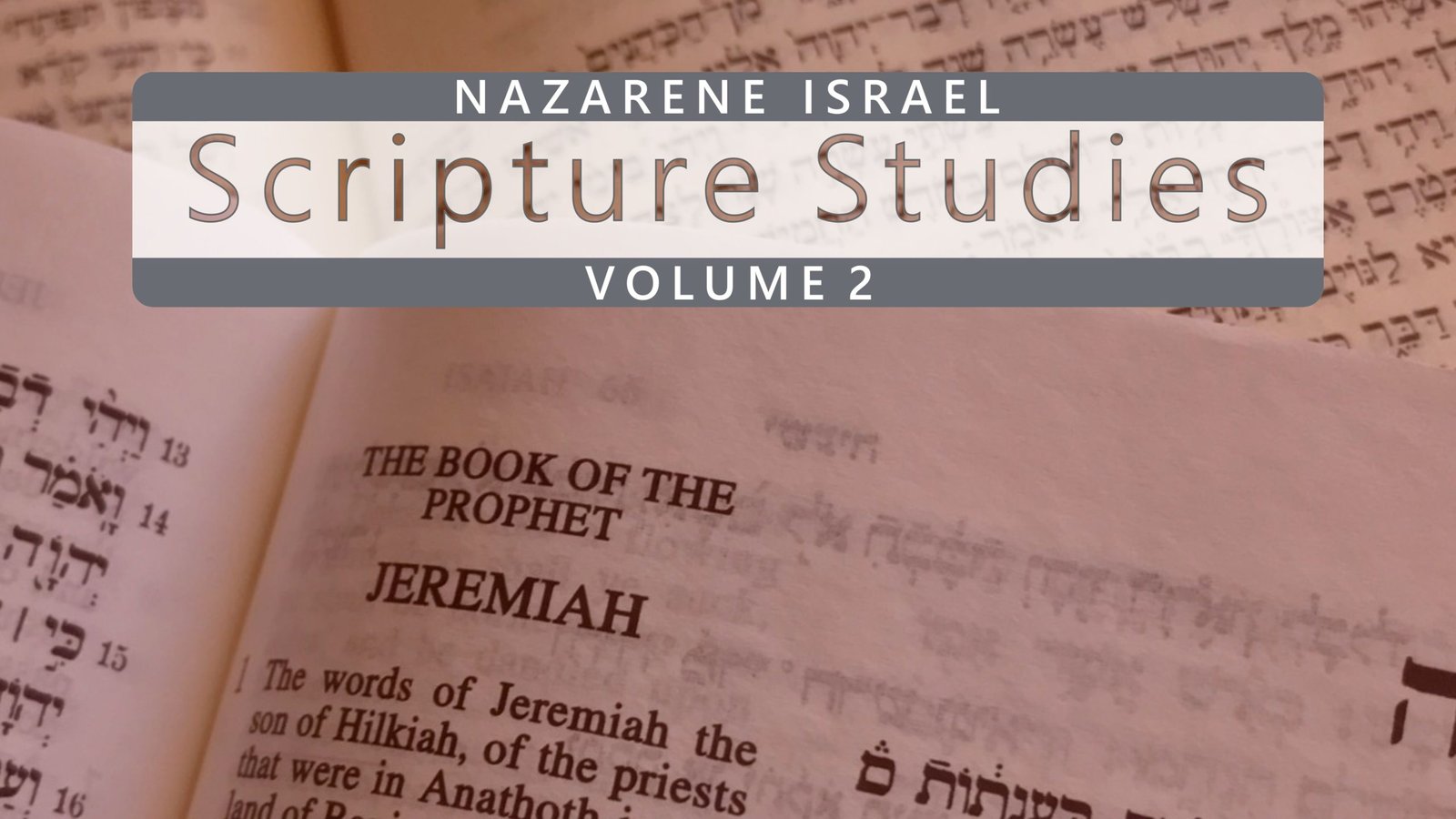 scriptural-studies-volume-2-en