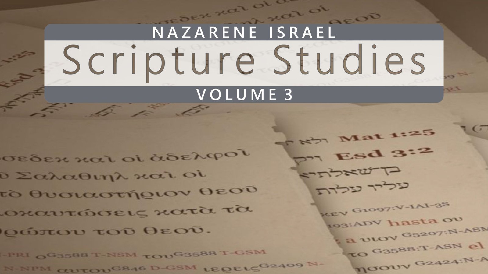 scriptural-studies-volume-3-en