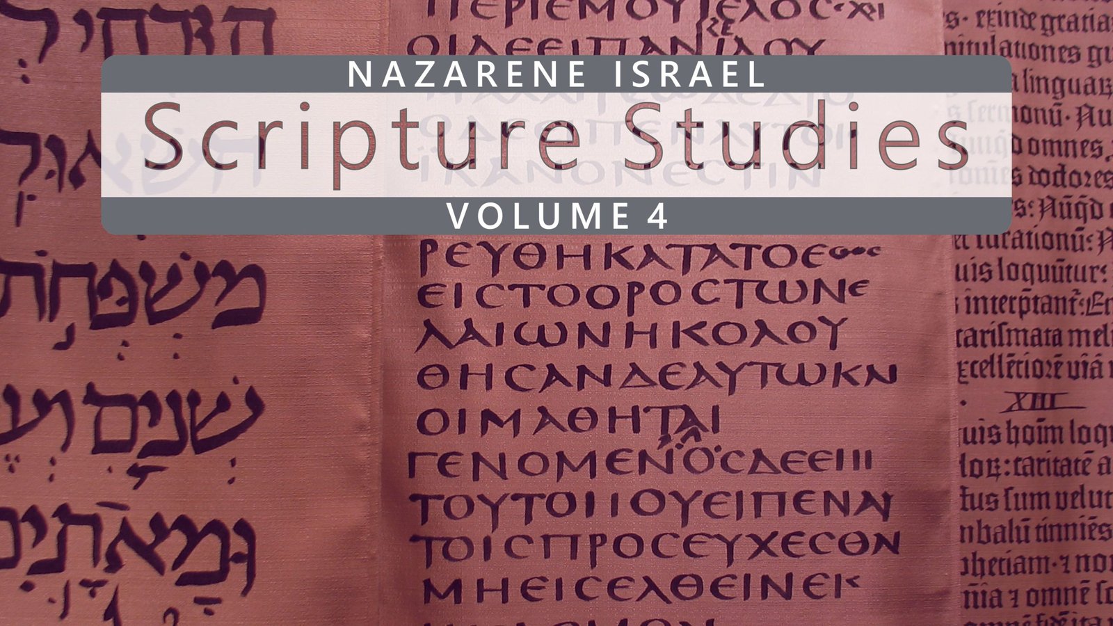 scriptural-studies-volume-4-en