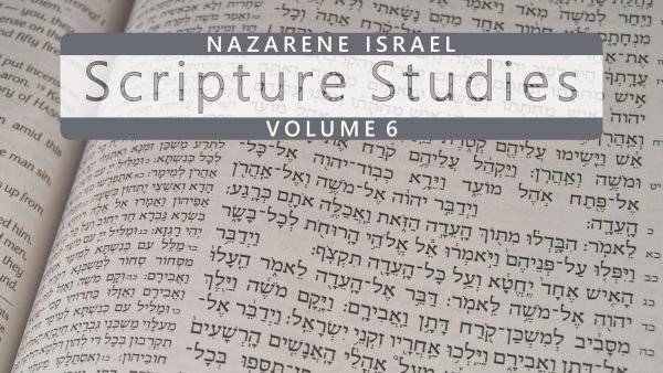scriptural-studies-volume-6-en