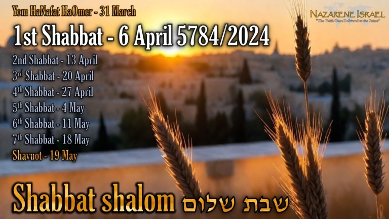 6 April 5784/2024, Shavuot, Pentecost, 50 day count, Ancient Hebrew Wedding, Yahweh's feasts, biblical feasts, Torah Calendar, Firstfruits, Calendar