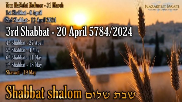 20 April 5784/2024, 2nd Shabbat, Shavuot, Pentecost, 50 day count, Ancient Hebrew Wedding, Yahweh's feasts