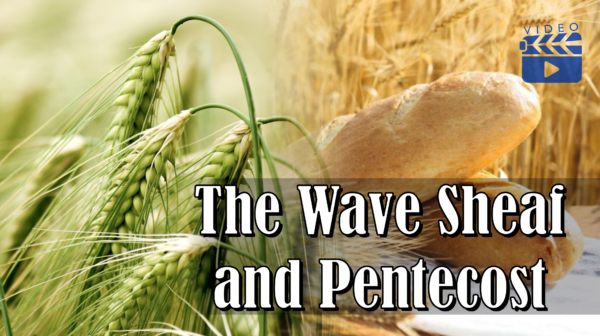 The Wave Sheaf and Pentecost