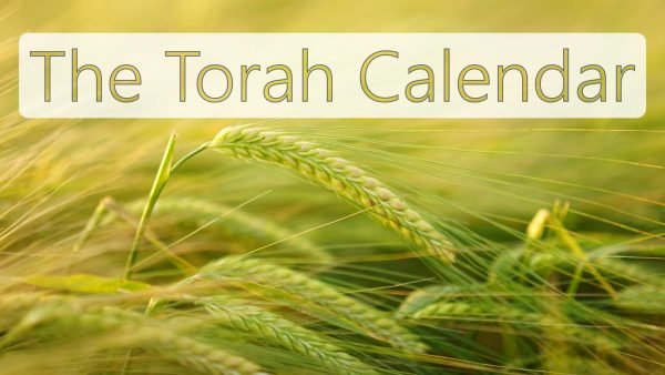the-torah-calendarcover-en