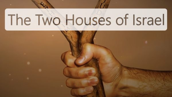 the-two-houses-of-israel-cover-en