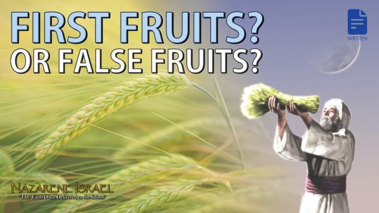 first, firstfruits, false fruits, karaite doctrine, messianic doctrine, wave sheaf, aviv barley, anti-yeshua doctrine, Yeshua our firstfruits, Torah calendar, Firstfruits calendar