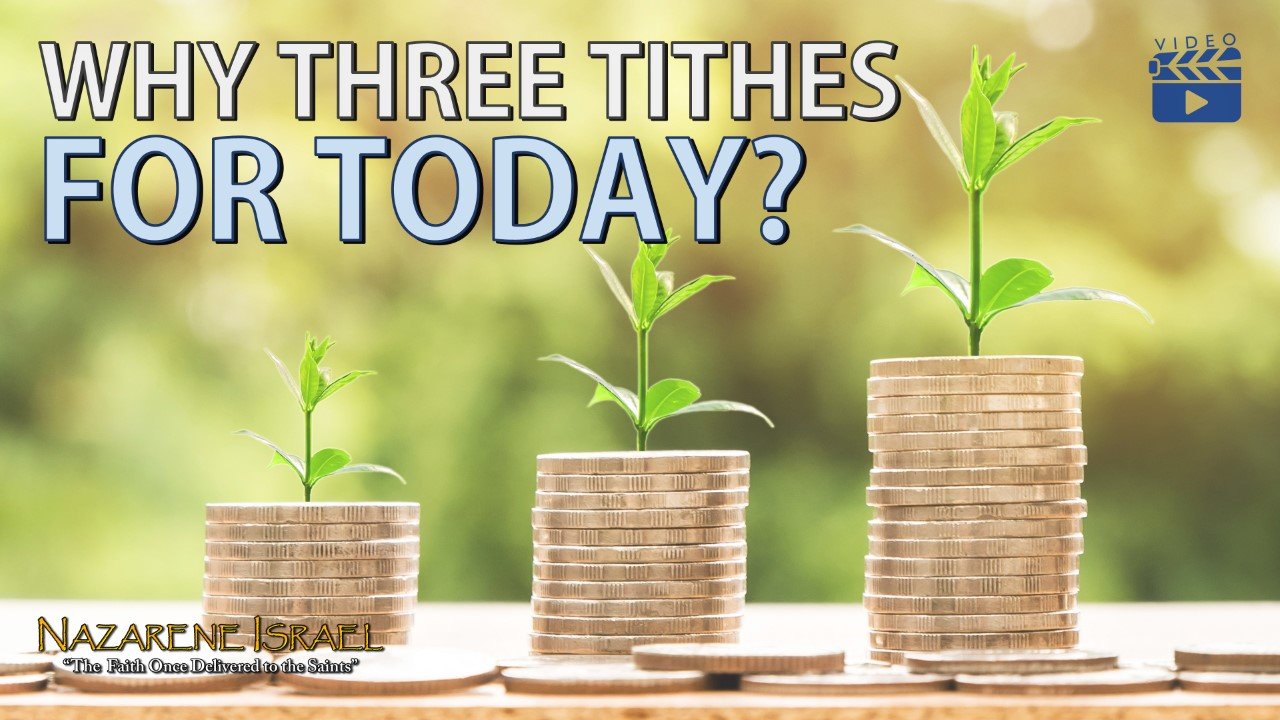 tithes, the three tithes, tithe system, discipleship