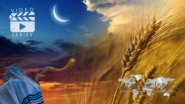 Torah Calendar basics