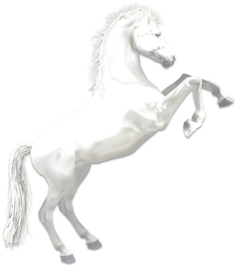 white horse, house of Joseph, house of Ephraim, 4 horses of the apocolypse