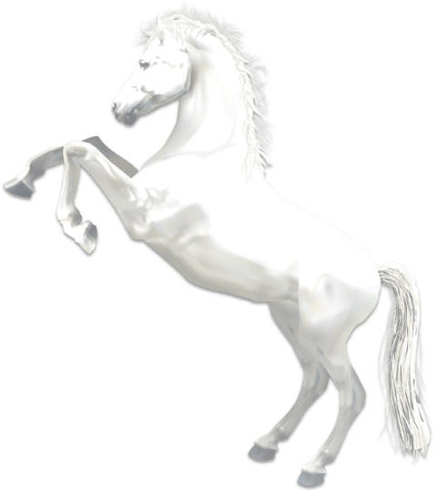 white horse, house of Joseph, house of Ephraim, 4 horses of the apocolypse