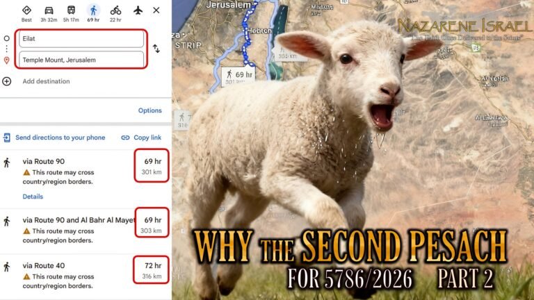 Why the Second Pesach for 5786/2026 part 2, feasts, barley witnesses