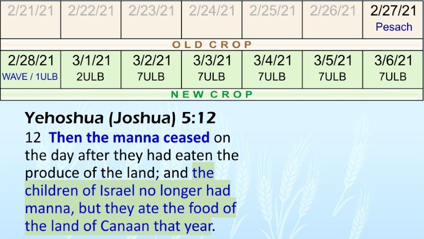 yehoshua joshua 5-12 old crop new crop